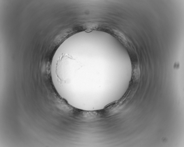 X0000093370525200711011231