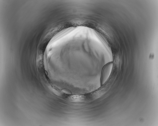 X0000093370526200711011231