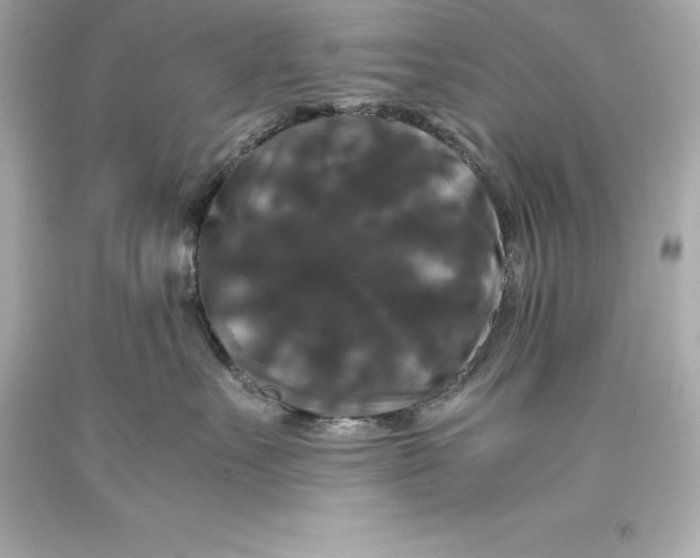 X0000093370527200711011231