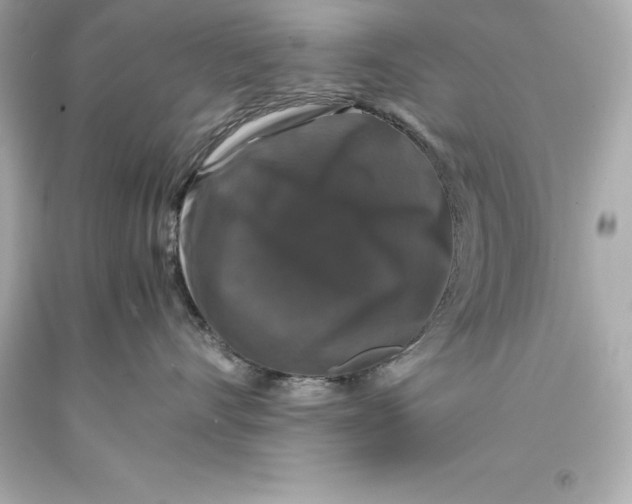 X0000093370528200711011231