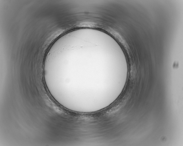 X0000093370529200711011230