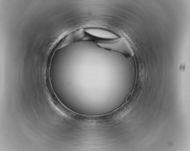 X0000093370530200711011230