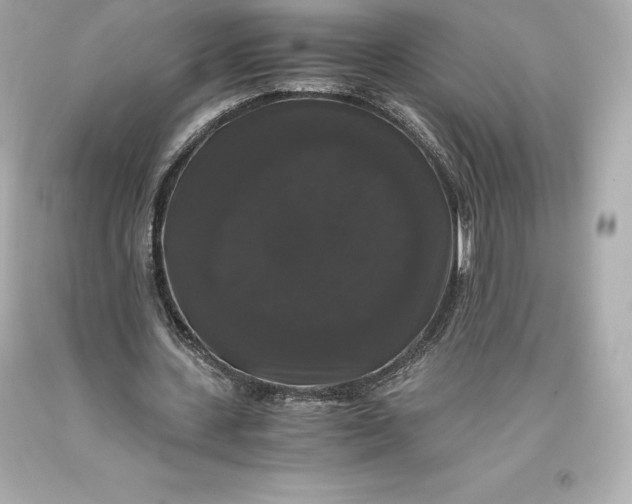 X0000093370531200711011230