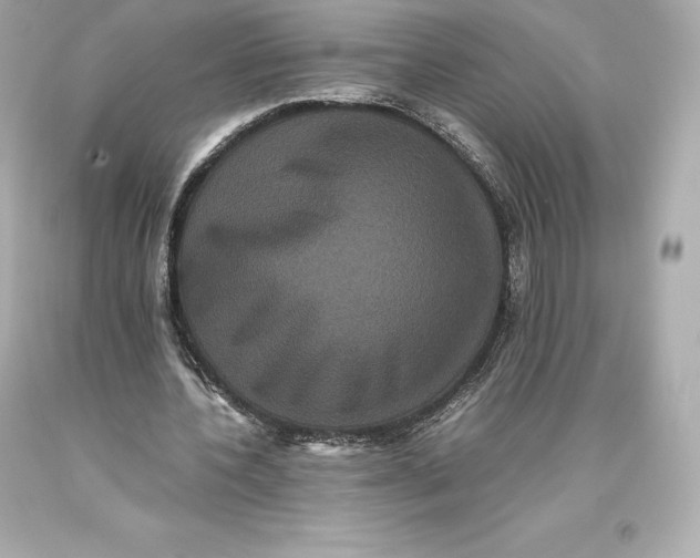 X0000093370532200711011230