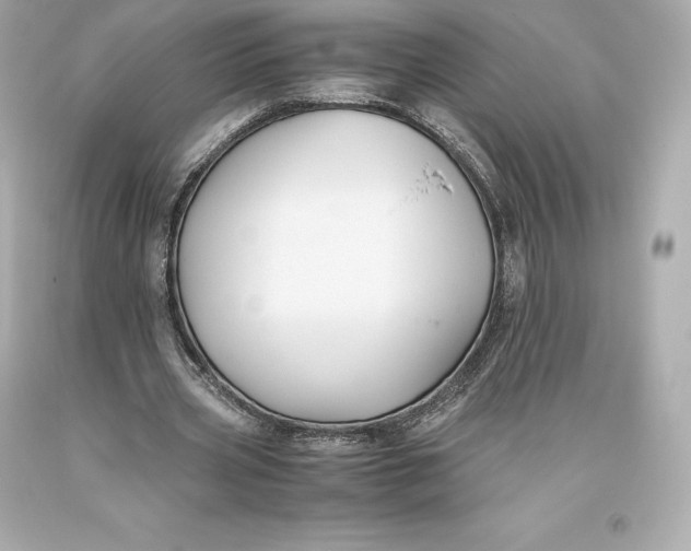 X0000093370533200711011230