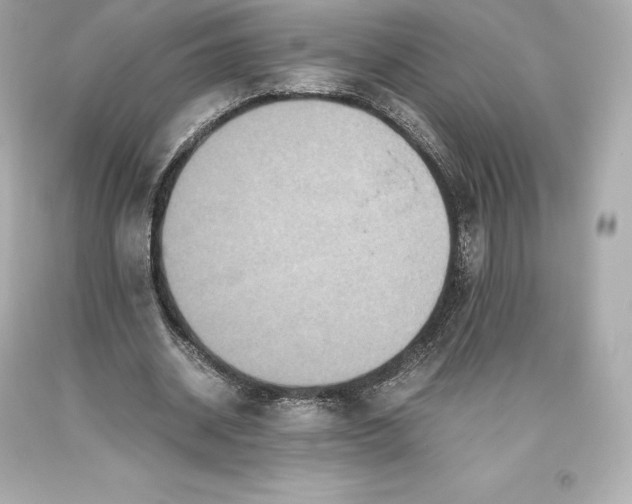 X0000093370534200711011230