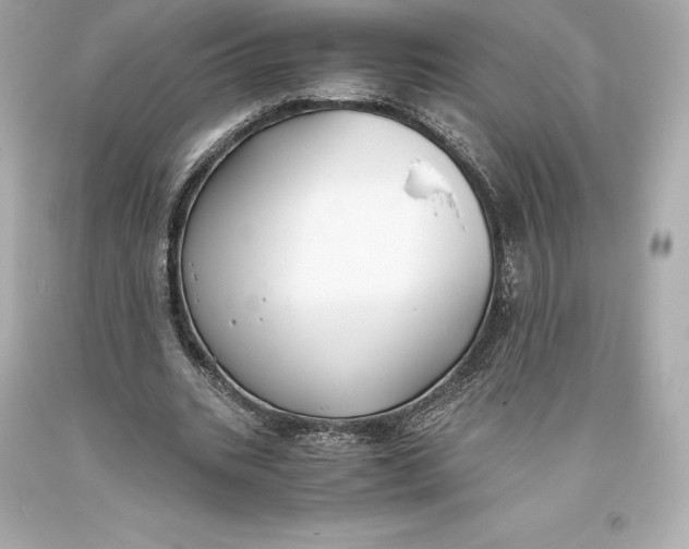 X0000093370535200711011230