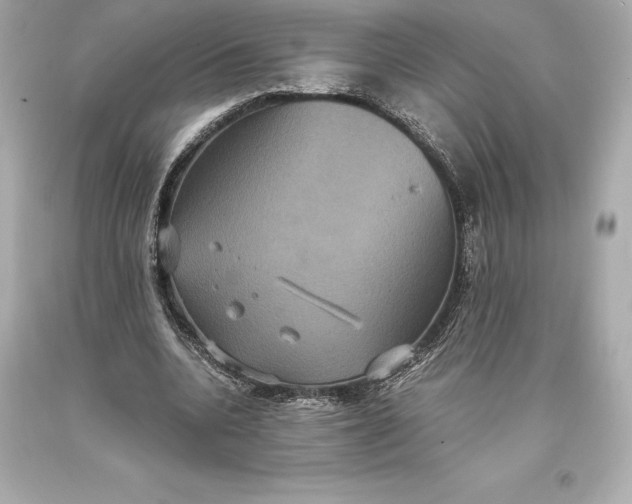 X0000093370536200711011231