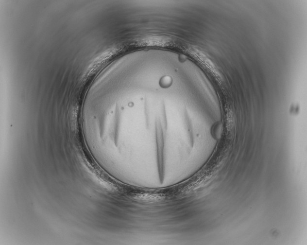 X0000093370537200711011231