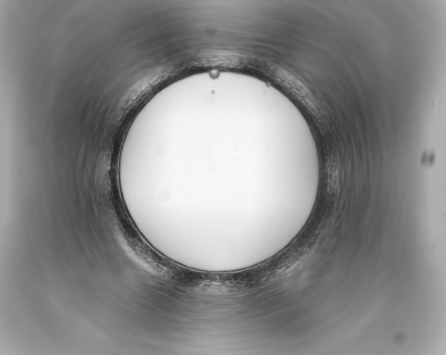 X0000093370538200711011231