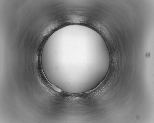 X0000093370539200711011231