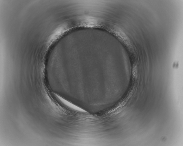 X0000093370540200711011231