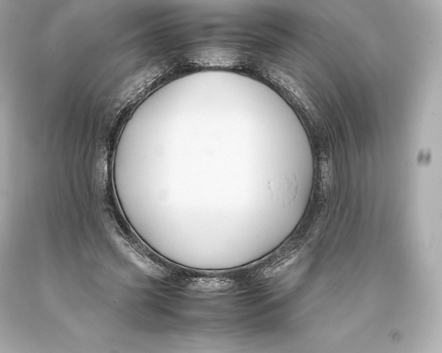 X0000093370541200711011231