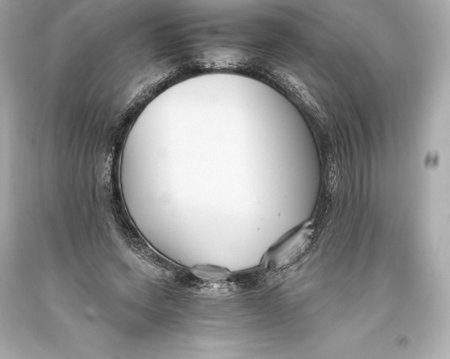 X0000093370543200711011231