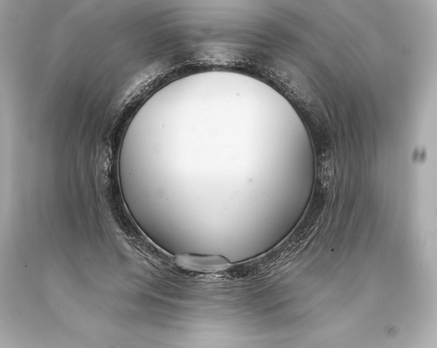 X0000093370544200711011231