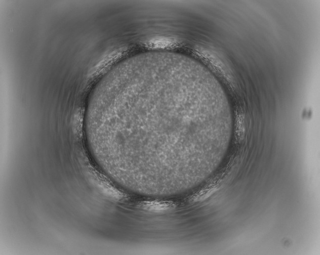 X0000093370545200711011231