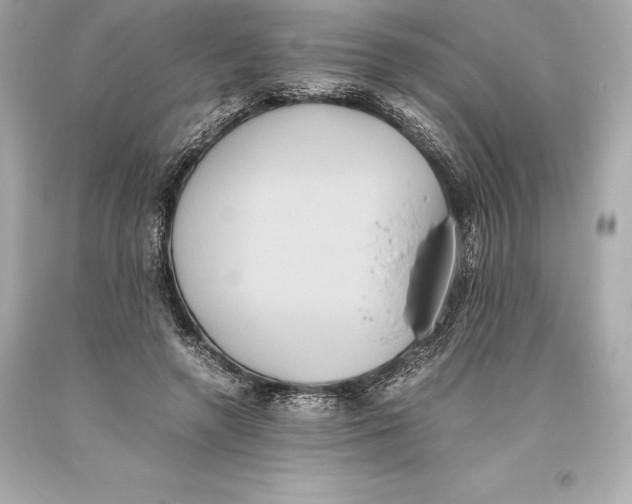 X0000093370546200711011231