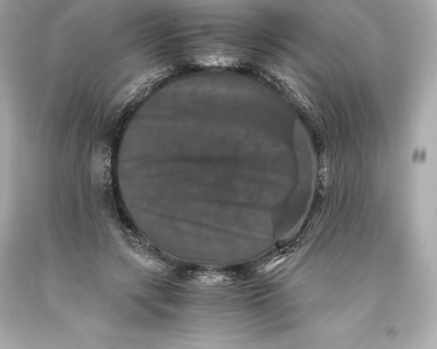 X0000093370547200711011231