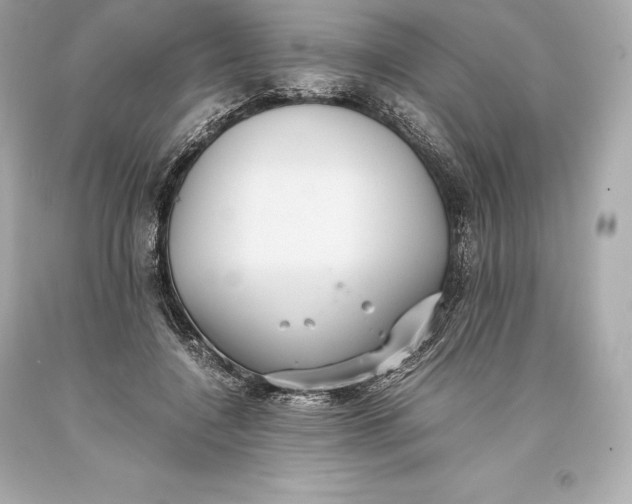 X0000093370548200711011231