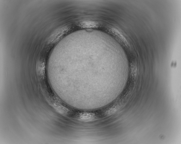 X0000093370549200711011231