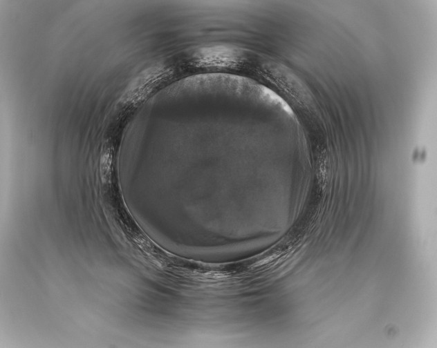 X0000093370551200711011231