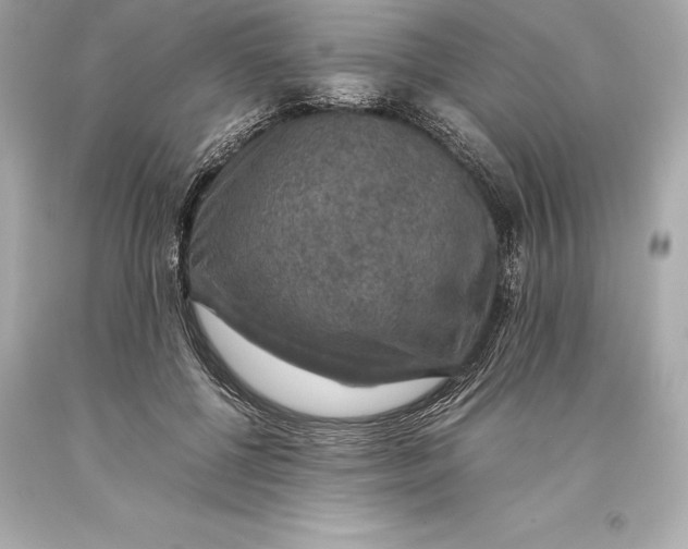 X0000093370552200711011231