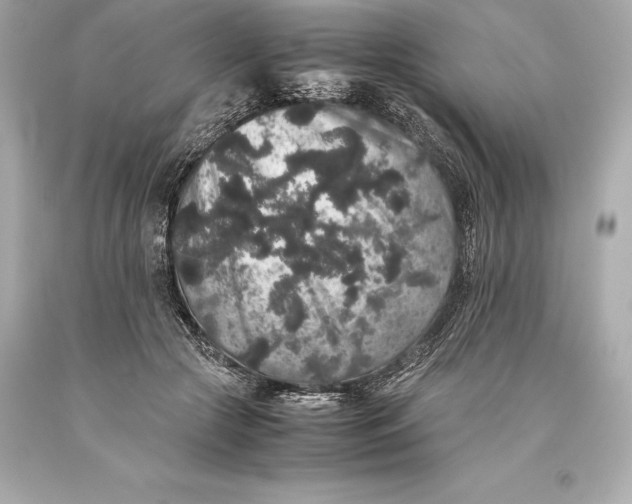 X0000093370553200711011231