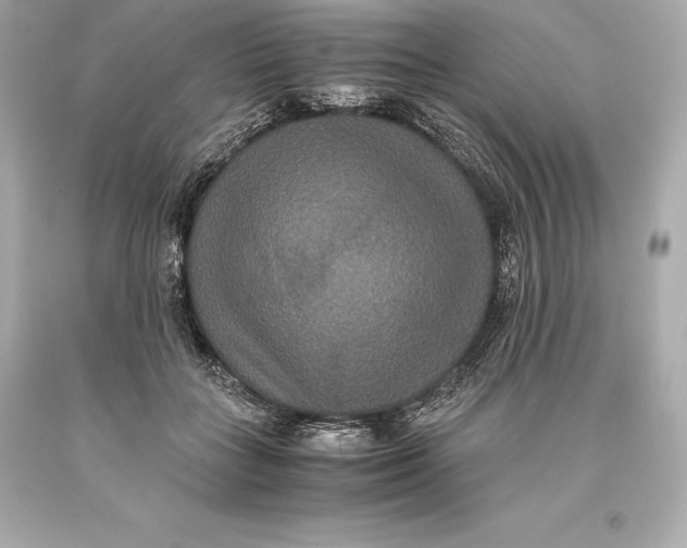 X0000093370555200711011231