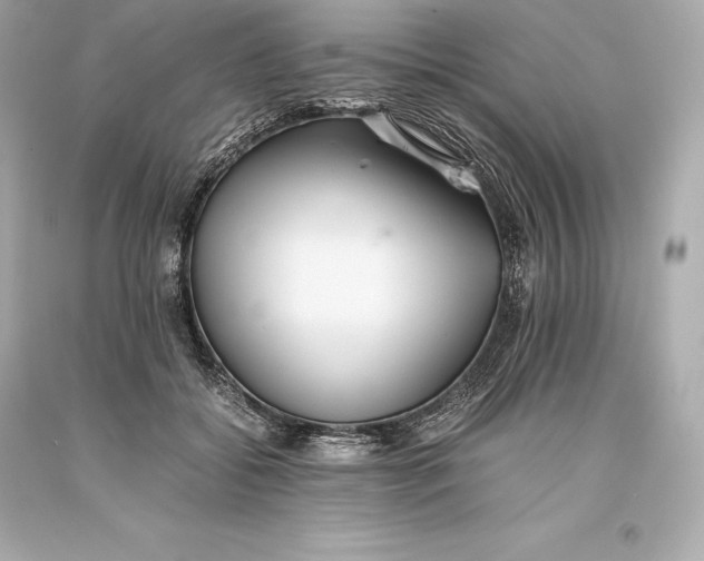 X0000093370556200711011231