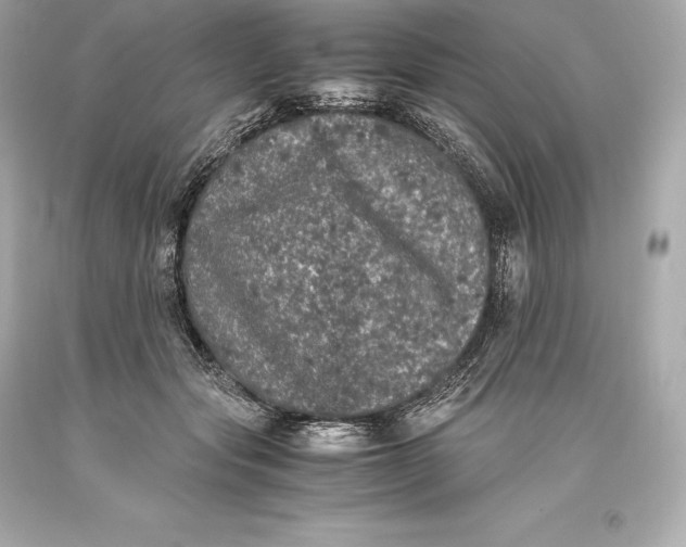 X0000093370557200711011231