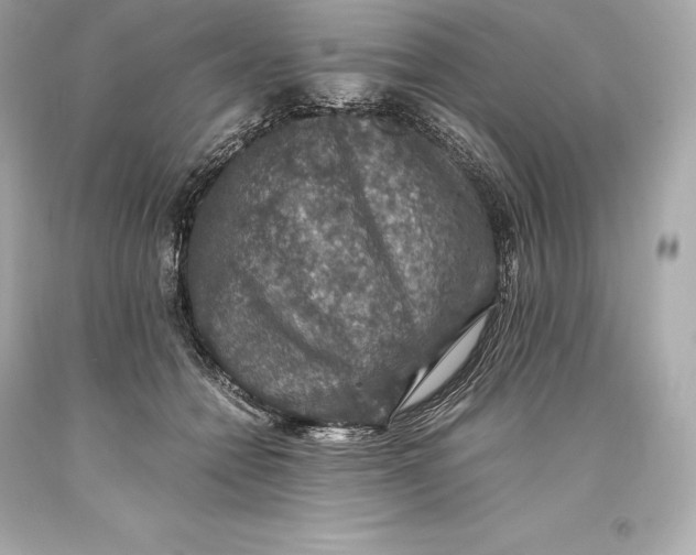 X0000093370558200711011231