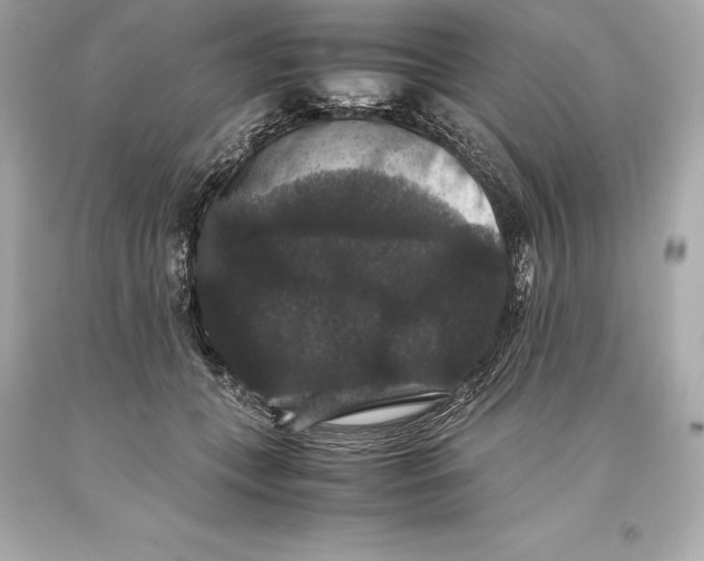 X0000093370559200711011231