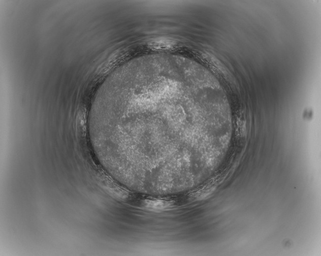 X0000093370561200711011231