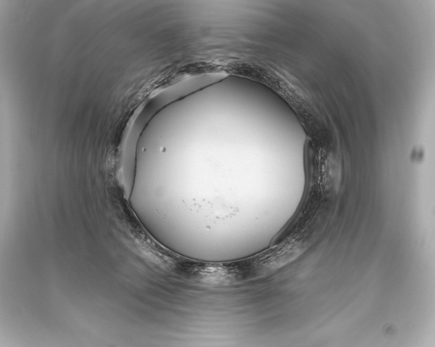 X0000093370562200711011231