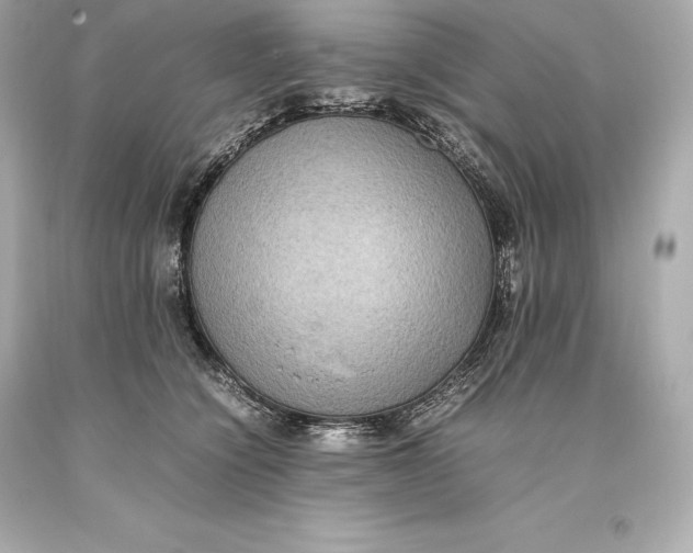 X0000093370564200711011231