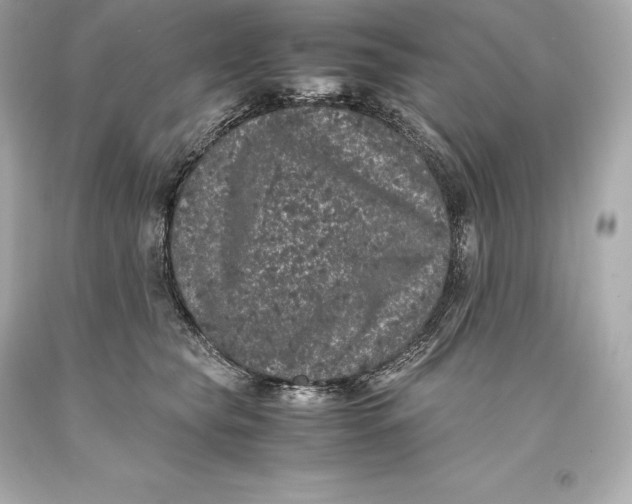 X0000093370565200711011231