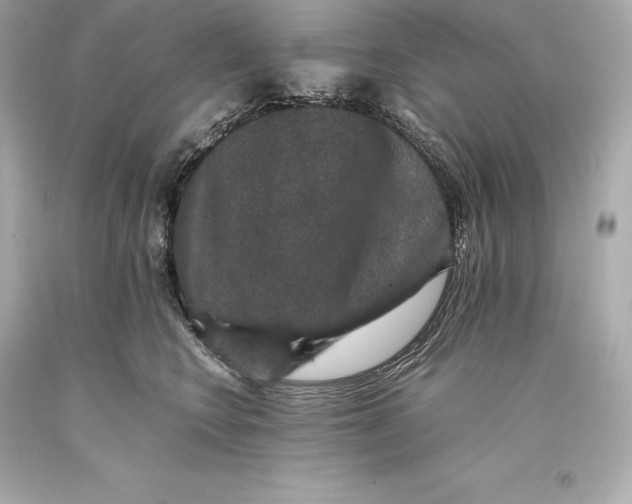 X0000093370566200711011231