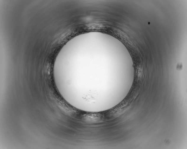 X0000093370567200711011231