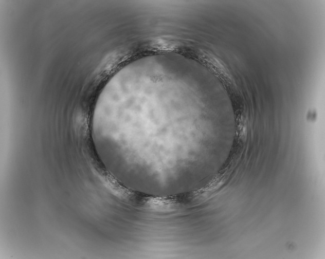 X0000093370568200711011231