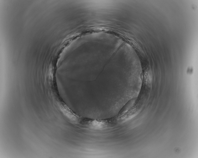 X0000093370570200711011231