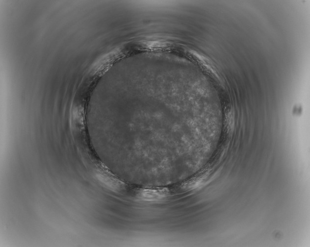 X0000093370571200711011231