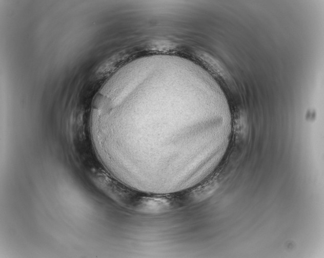 X0000093370572200711011231