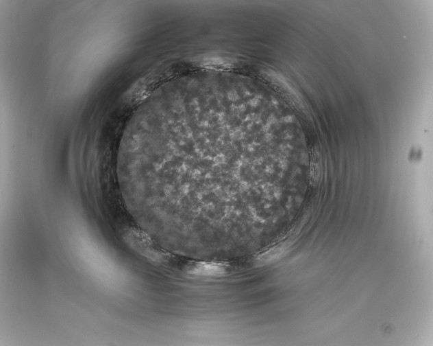 X0000093370573200711011231