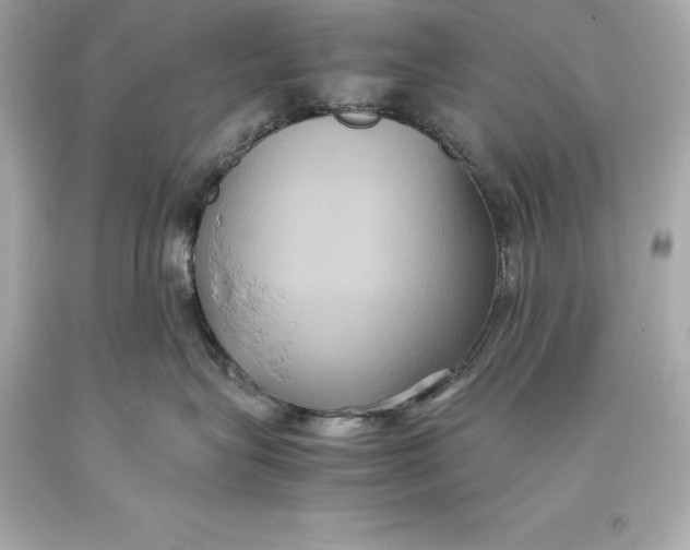 X0000093370575200711011231