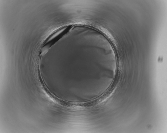 X0000093370577200711011230