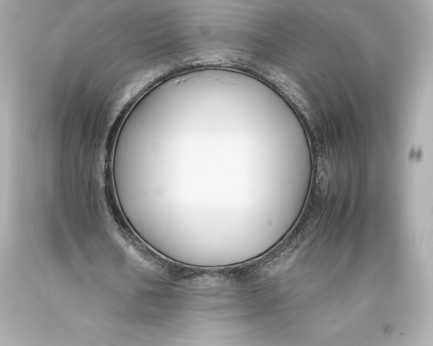 X0000093370578200711011230