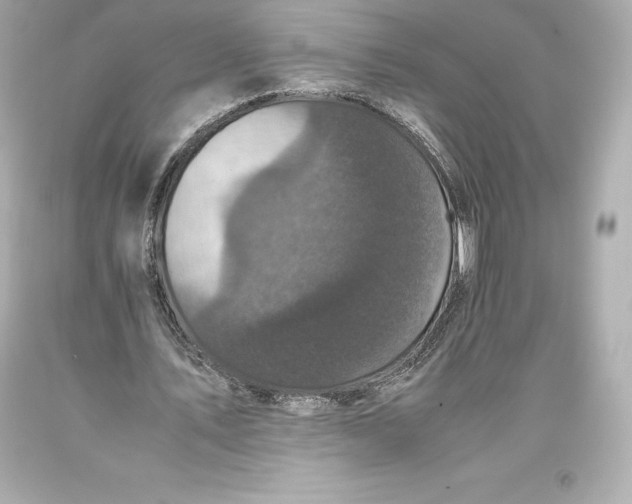 X0000093370579200711011230