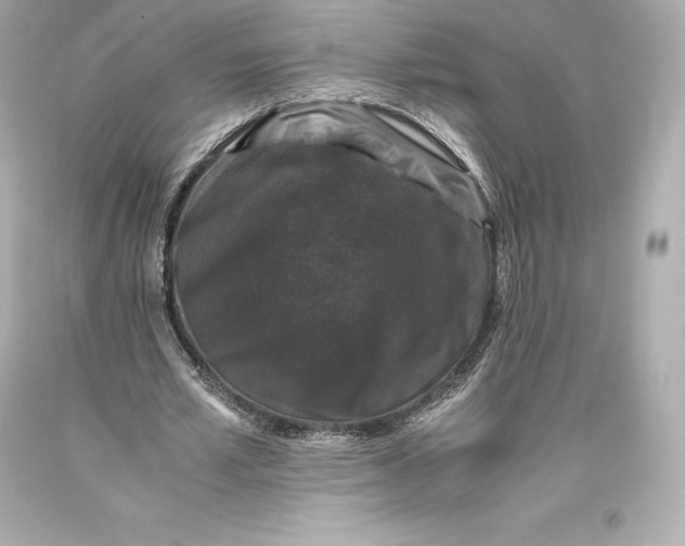 X0000093370581200711011230