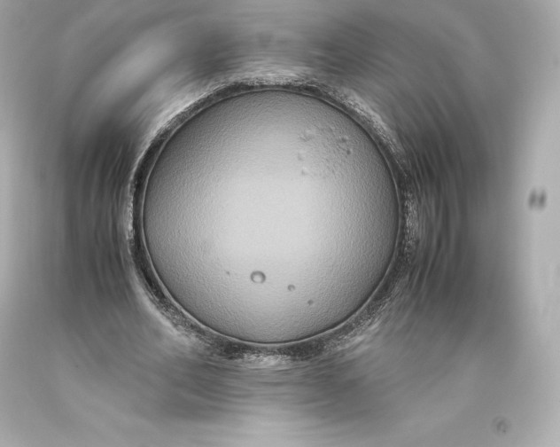 X0000093370582200711011230