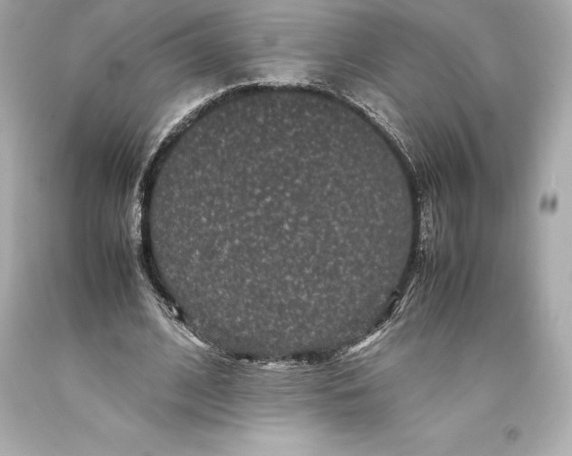 X0000093370584200711011230